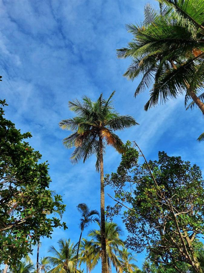 Apto Pé Na Areia Pitangueiras - Centro Apartamento Guarujá